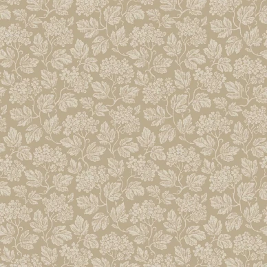 8080 Hagtorn Closeup image