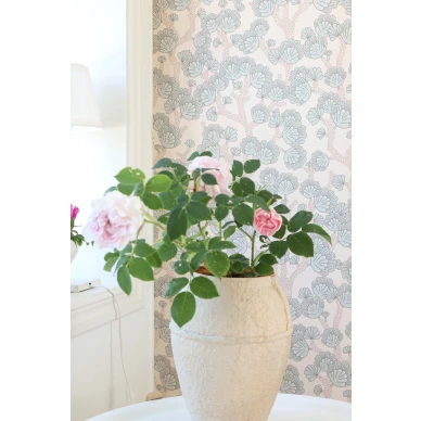 165 01 beachy breeze C image