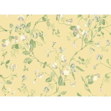 SweetPea Image Flatshot Item 100 6029 image