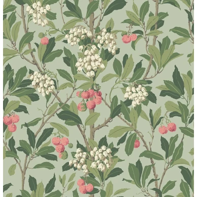 StrawberryTree Image Flatshot Item 100 10048 image