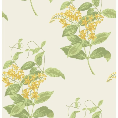 MadrasViolet Image Flatshot Item 100 12059 image