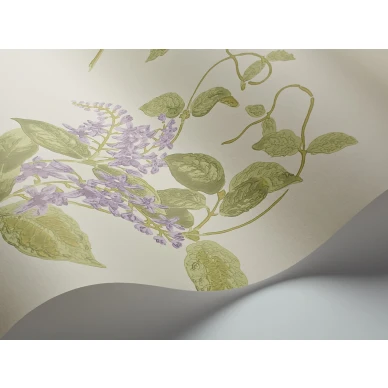 MadrasViolet Image WaveImage Item 100 12056 image