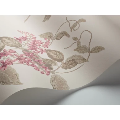 MadrasViolet Image WaveImage Item 100 12058 image