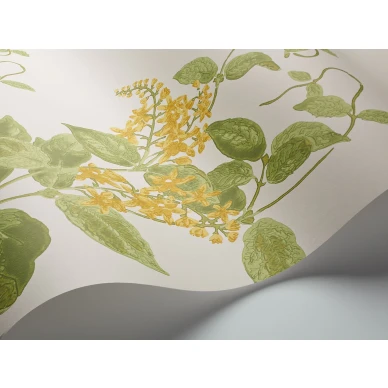 MadrasViolet Image WaveImage Item 100 12059 image