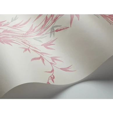 Bamboo Image WaveImage Item 100 5024 image