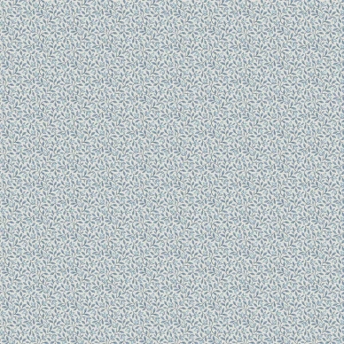 8180 Ida Closeup image