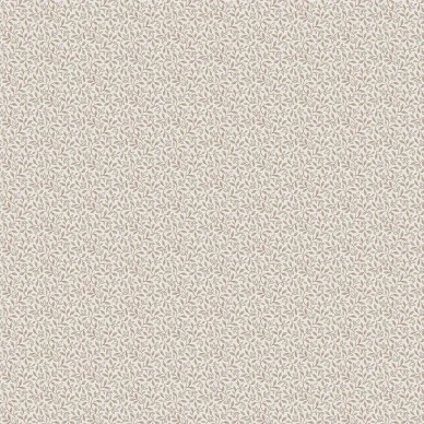 8181 Ida Closeup image