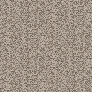 8183 Ida Closeup image