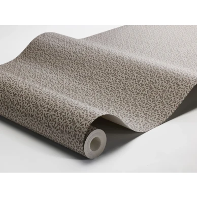 8183 Ida WaveImage image