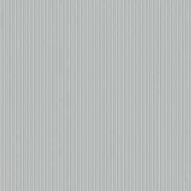 8175 Sam Closeup image