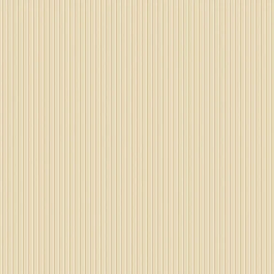 8177 Sam Closeup image