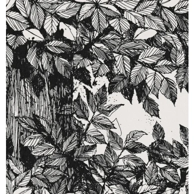 9818W Hassel Closeup1 image