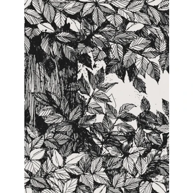 9818W Hassel Closeup image