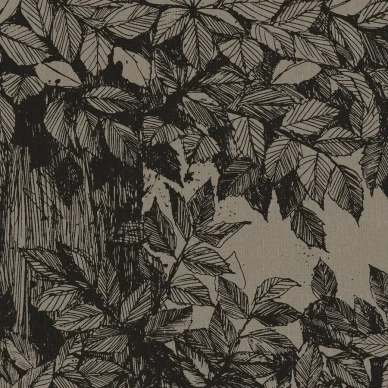 9819W Hassel Closeup1 image