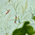 Tuileries Sage closeup