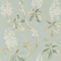 Chestnut Tree Grey Blue Sage