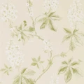 Chestnut Tree Lemon Lettuce