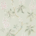 Chestnut Tree Seaspray Peony