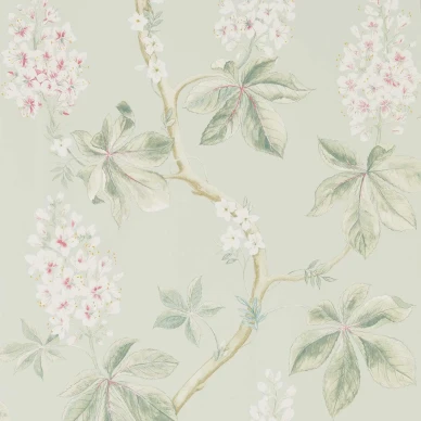 Chestnut Tree Seaspray Peony image