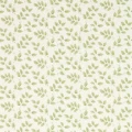 Tomato Leaf Leaf Green
