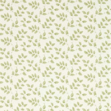 Tomato Leaf Leaf Green image