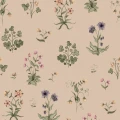 R22056 Timeless Flora Pink Rebel Walls product