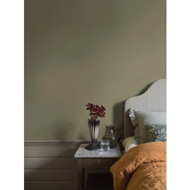 4349 DeepOlive Roomshot 2 image