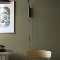 4349 DeepOlive Roomshot 4
