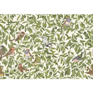 R19260_product image