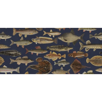 S10729_product image