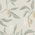 S10844_product