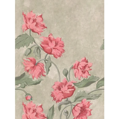 9937W_Papaver_Closeup image