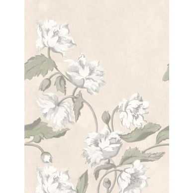 9938W_Papaver_Closeup image