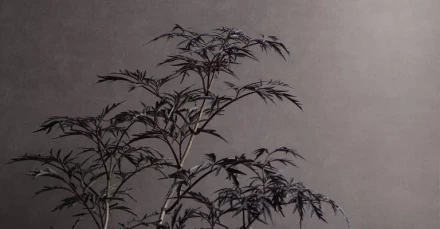 Liila tapetti Shades Hematite Borastapeter