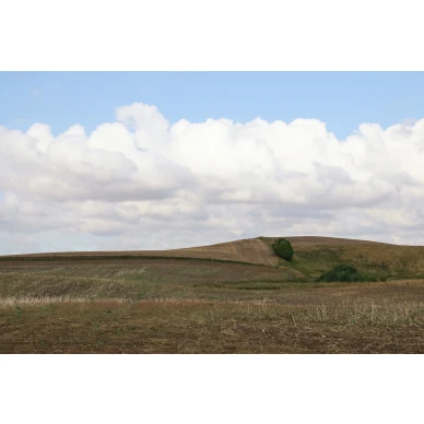 Cropland syksyinen peltomaisema valokuvatapetti koko kuvio Rebel Wallsilta R16481 image