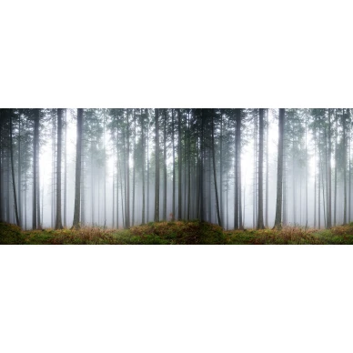 Forest Glade vihrea metsaaiheinen valokuvatapetti Rebel Wallsilta koko kuvio R15201 image