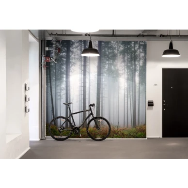 Forest Glade vihrea metsamaisema valokuvatapetti Rebel Wallsilta R15201 image