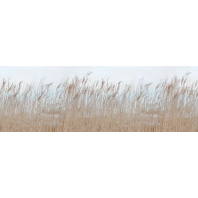 Swaying Reed rauhallinen kaislatapetti Rebel Wallsilta koko kuvio R13602 image
