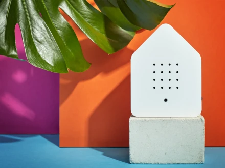 Zwitscherbox valkoinen peiteaanilaatikko v2